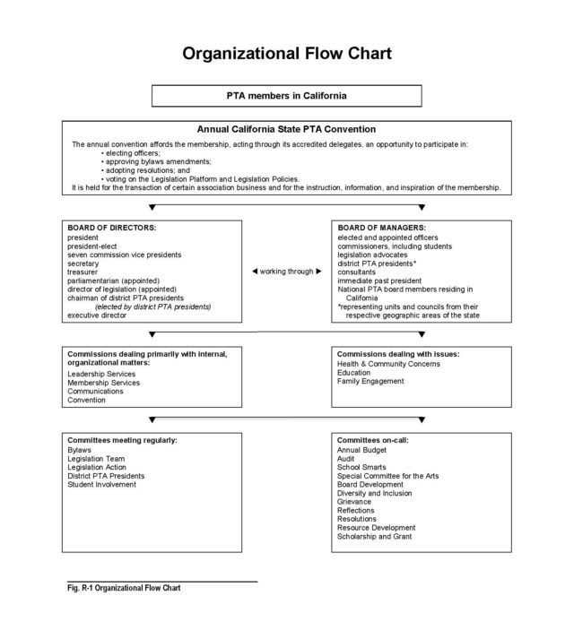 Organization Flow Chart