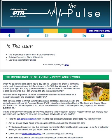 Pulse Dec 2019 screen shot